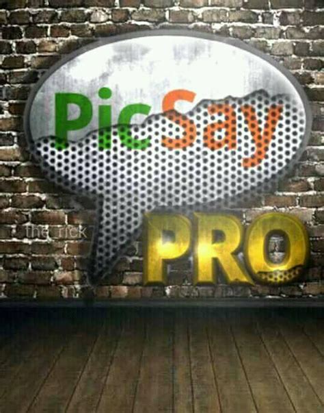 Picsay Pro Indonesia Alat Pipal